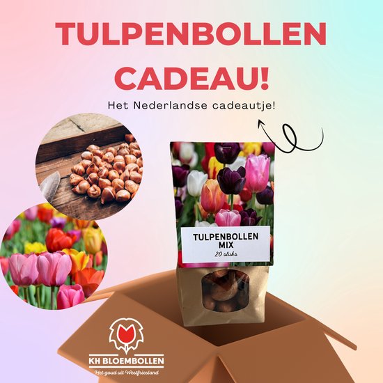 20 tulpenbollen mix cadeau verpakking - bloembollen - tuin - kado - geschenk - bedankje - juf - meester - collega - vrienden - familie - klanten - Nederland - geschenk