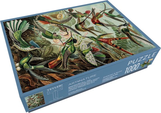 Bekking & Blitz - Puzzel - 1.000 stukjes - Kunst - Art Forms of Nature - Ernst Haeckel - Teylers Museum