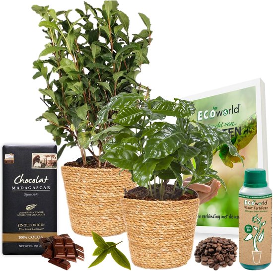 Ecoworld Koffie & Thee - Choco GiftSet - incl. mand van zeegras, Fair Trade chocolade uit Madagaskar en plantenvoeding