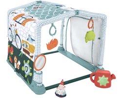 Fisher-Price 3-in-1 Kruipen en Spelen Activiteitenspeelmat - Babygym Baby Speelgoed