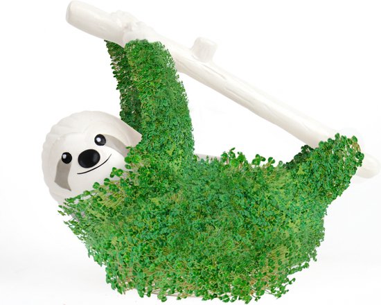 Gift Republic Sloth Planter Component