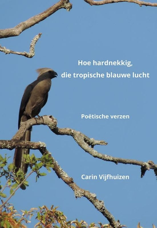 Hoe hardnekkig, die tropische blauwe lucht