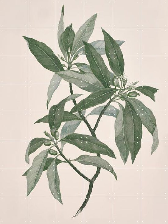 IXXI Timonius Timon - Wanddecoratie - Bloemen en Planten - 120 x 160 cm
