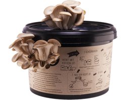 Oesterzwam Growkit – Zelf Paddenstoelen Kweken op Koffiedik – Herstartbaar & Duurzaam Cadeau – Gerecycled Plastic – Sociaal geproduceerd in Nederland – Fryslân Fungies - Aanrecht moestuin - Van Koffie naar Paddenstoel