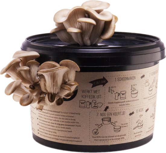 Oesterzwam Growkit – Zelf Paddenstoelen Kweken op Koffiedik – Herstartbaar & Duurzaam Cadeau – Gerecycled Plastic – Sociaal geproduceerd in Nederland – Fryslân Fungies - Aanrecht moestuin - Van Koffie naar Paddenstoel