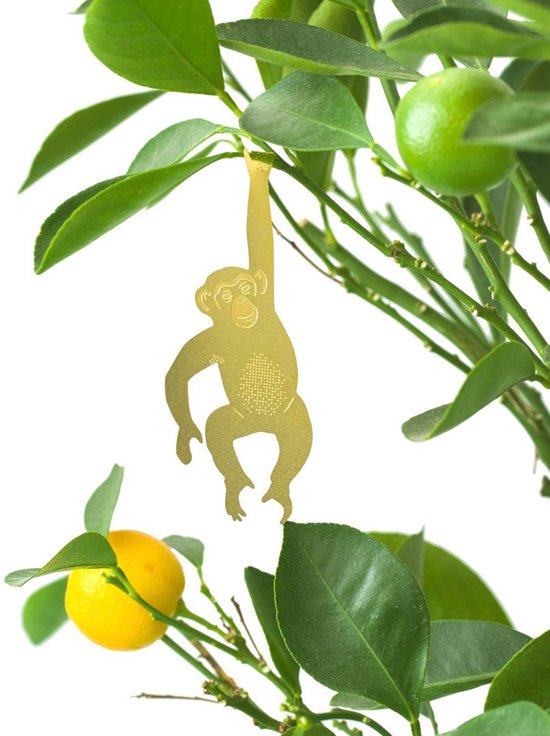 Plant 'n Bak - Plantenhanger - Chimpansee - Koper