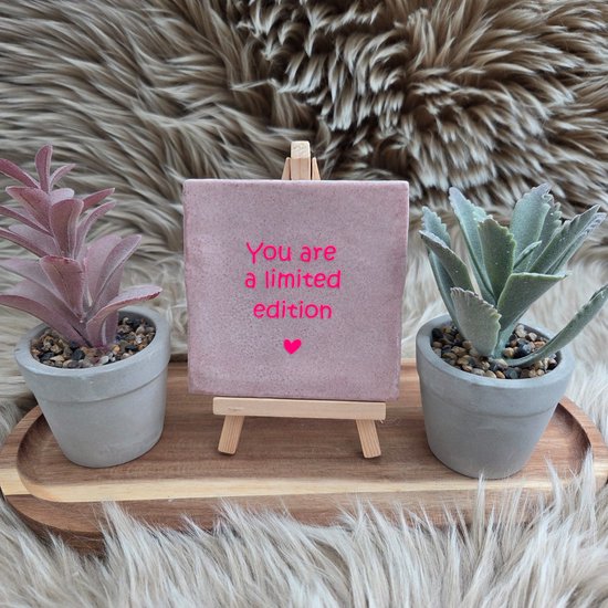 Robuust Wenstegeltje – You Are a Limited Edition – Uniek Cadeau voor Vriendin, Zus of Collega – Stoer & Stijlvol Woonaccessoire - Zomaar - Afscheid - Pensioen – Trendy nu – Decoratief Tegeltje met Standaard – Cadeau Idee - Tegeltje met tekst