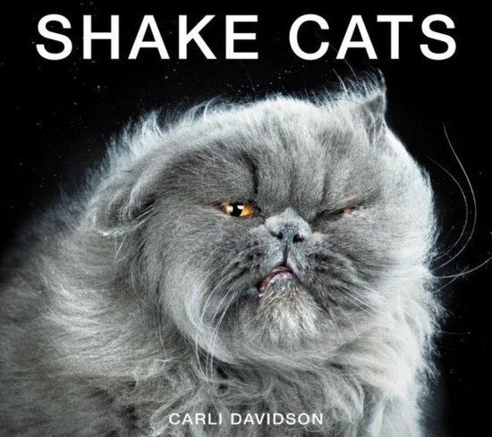 Shake Cats