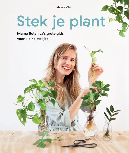 Stek Je Plant