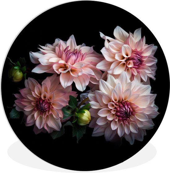 WallCircle - Wandcirkel - Muurcirkel Binnen - Dahlia - Wit - Bloemen - Roze - Natuur - 60x60 cm - Wanddecoratie - Ronde Schilderijen